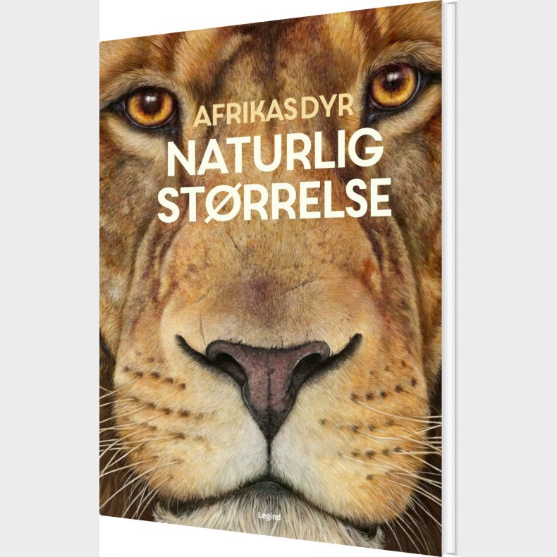 Afrikas Dyr - I Naturlig Strrelse - Holger Haag - Bog