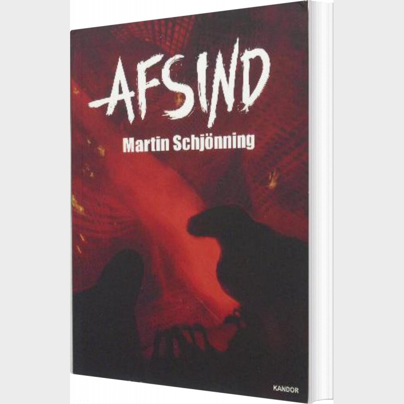 Afsind - Martin Schjnning - Bog