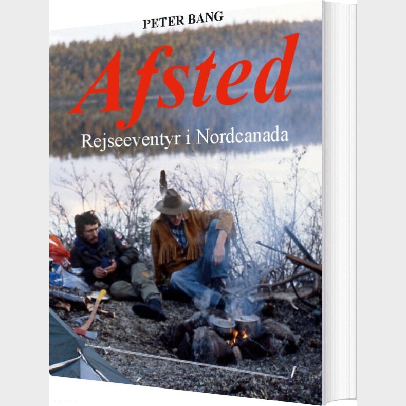 Afsted - Peter Bang - Bog