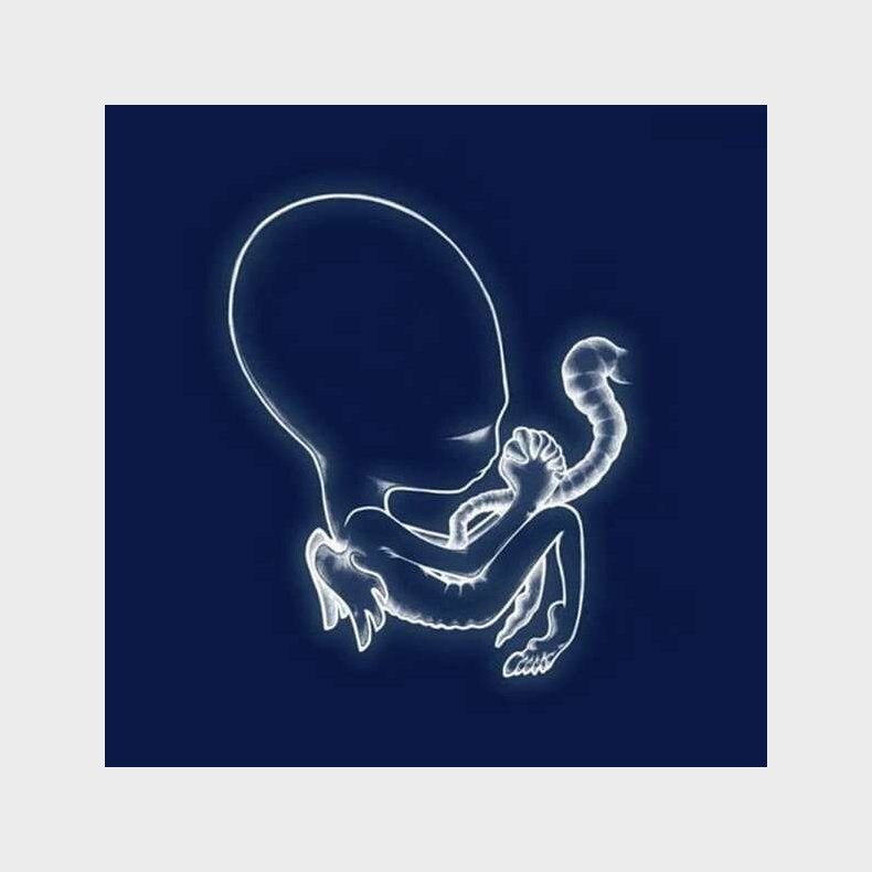 Sigur Ros - Ag�tis Byrjun - Vinyl Lp