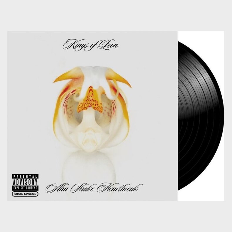 Kings Of Leon - Aha Shake Heartbreak - Vinyl Lp
