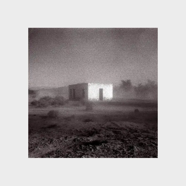 Godspeed You Black Emperor - Allelujah! Don't Bend Ascend - Vinyl Lp