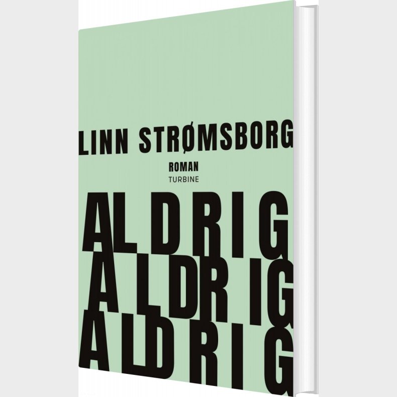 Aldrig, Aldrig, Aldrig - Linn Strmsborg - Bog