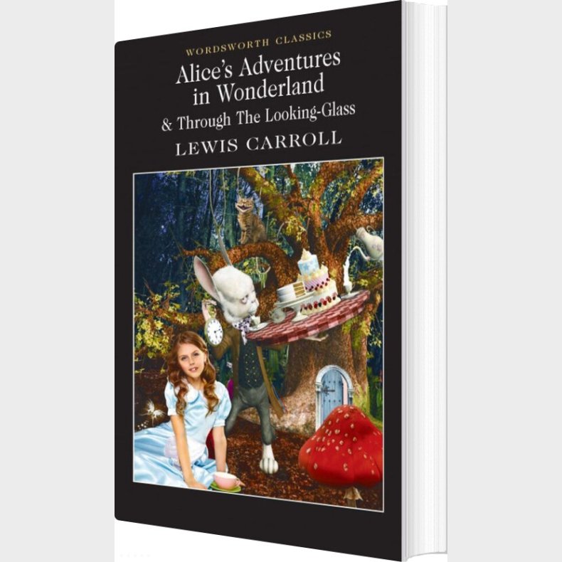 Alice's Adventures In Wonderland - Lewis Carroll - English Book
