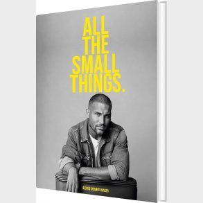 All The Small Things - Dennis Schjdt Hansen - English Book