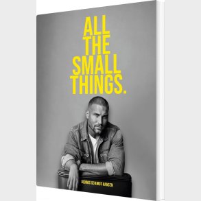 All The Small Things - Dennis Schjdt Hansen - English Book