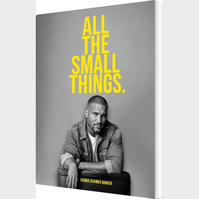 All The Small Things - Dennis Schjdt Hansen - English Book