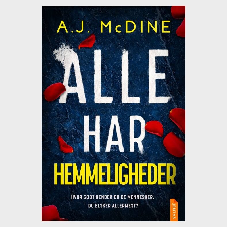 Alle Har Hemmeligheder - A.j. Mcdine - Bog