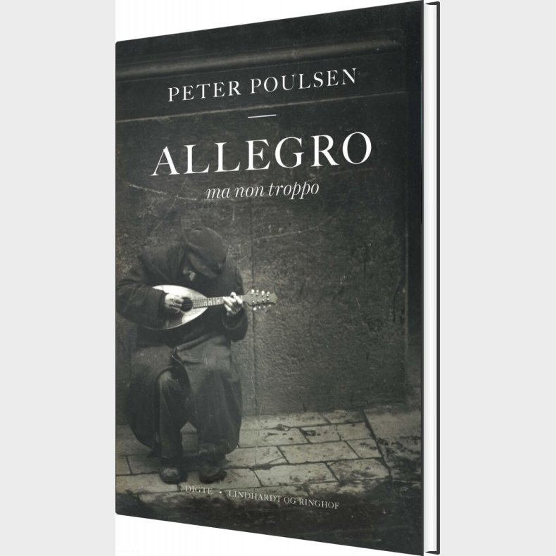 Allegro Ma Non Troppo - Peter Poulsen - Bog