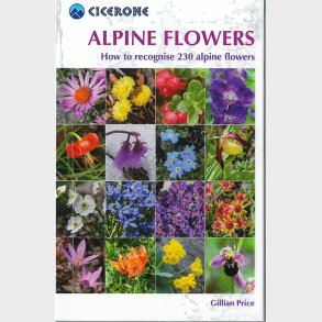 Alpine Flowers - Gilian Price - English Book