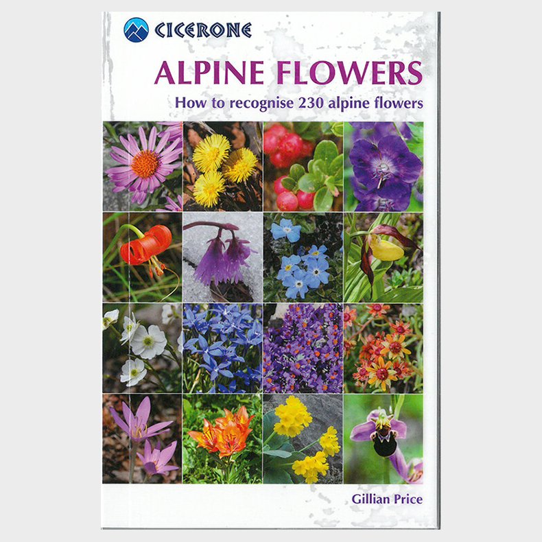 Alpine Flowers - Gilian Price - English Book
