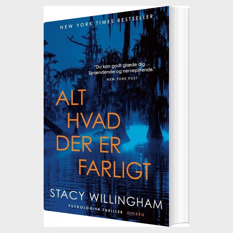Alt Hvad Der Er Farligt - Stacy Willingham - Bog