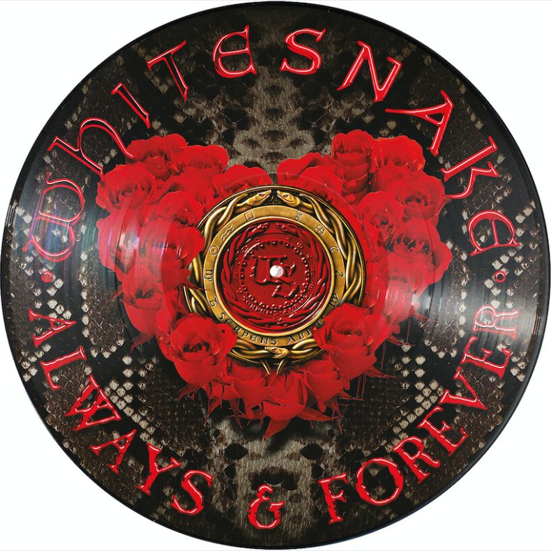 Whitesnake - Always & Forever - Vinyl Lp