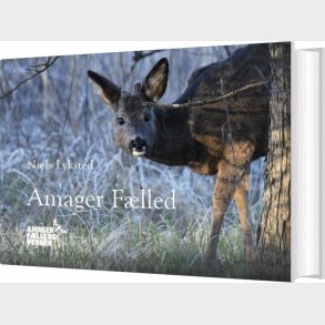 Amager Flled - Niels Lyksted - Bog
