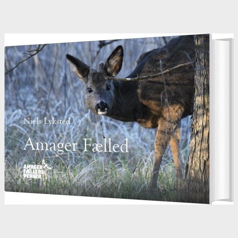Amager Flled - Niels Lyksted - Bog