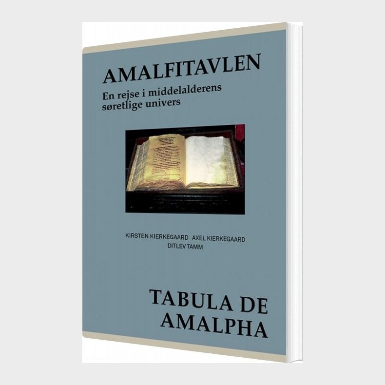 Latinerkvarteretamalfitavlen - Ditlev Tamm - Bog