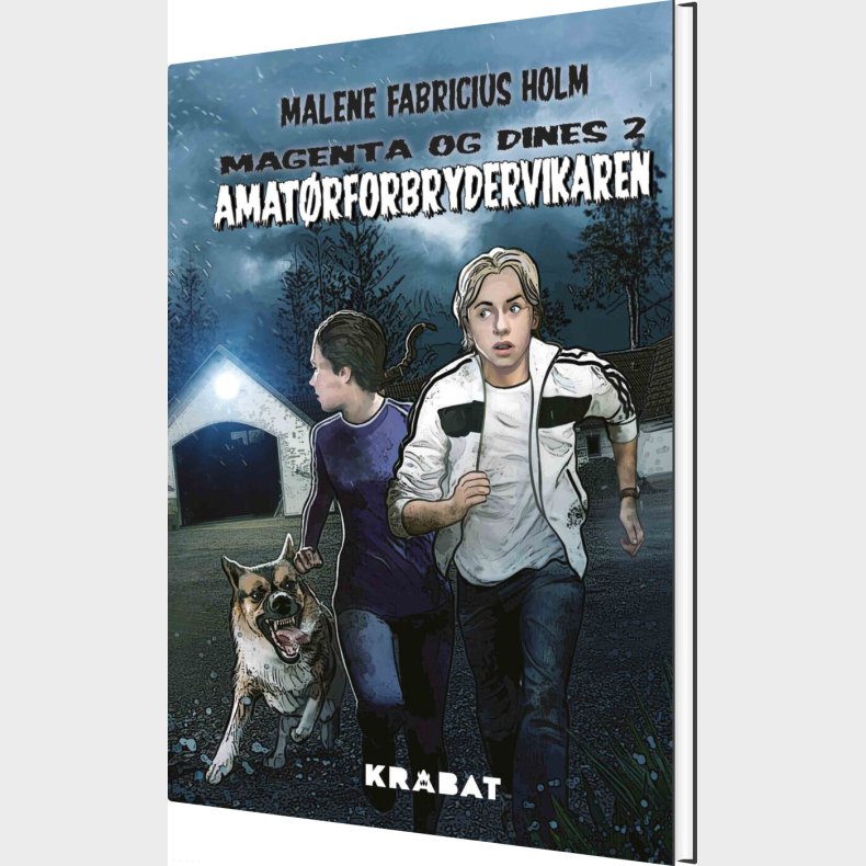 Amatrforbrydervikaren - Malene Fabricius Holm - Bog