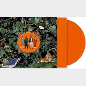 Don Broco - Amazing Things - CD