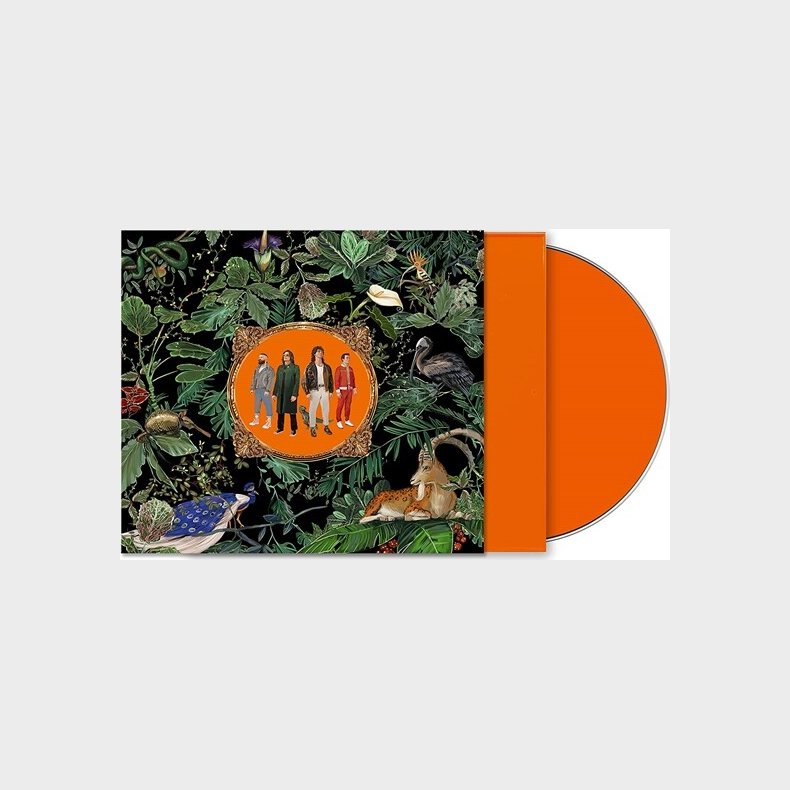 Don Broco - Amazing Things - CD