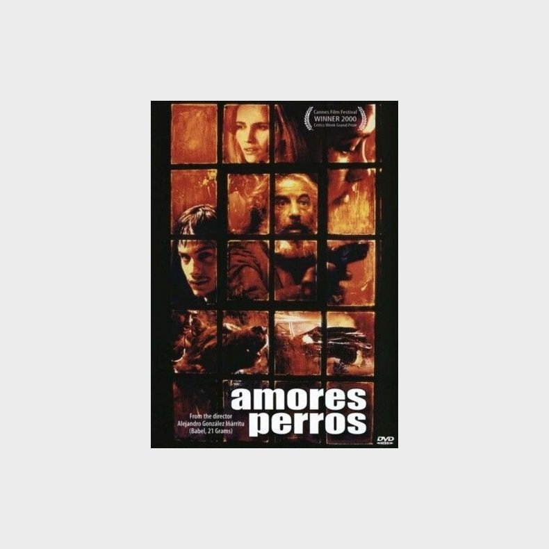 Amores Perros - DVD - Film