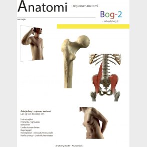 Anatomi - Bog 2 - Jan Hejle - Bog