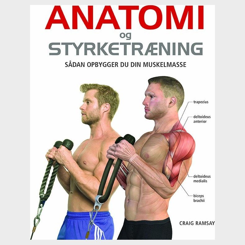 Anatomi Og Styrketrning - Craig Ramsay - Bog