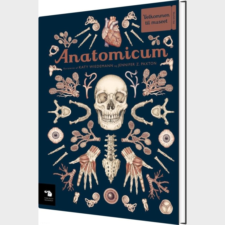Anatomicum - Katy Wiedemann - Bog