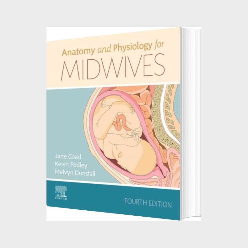 Anatomy And Physiology For Midwives - Jane Coad - English Book