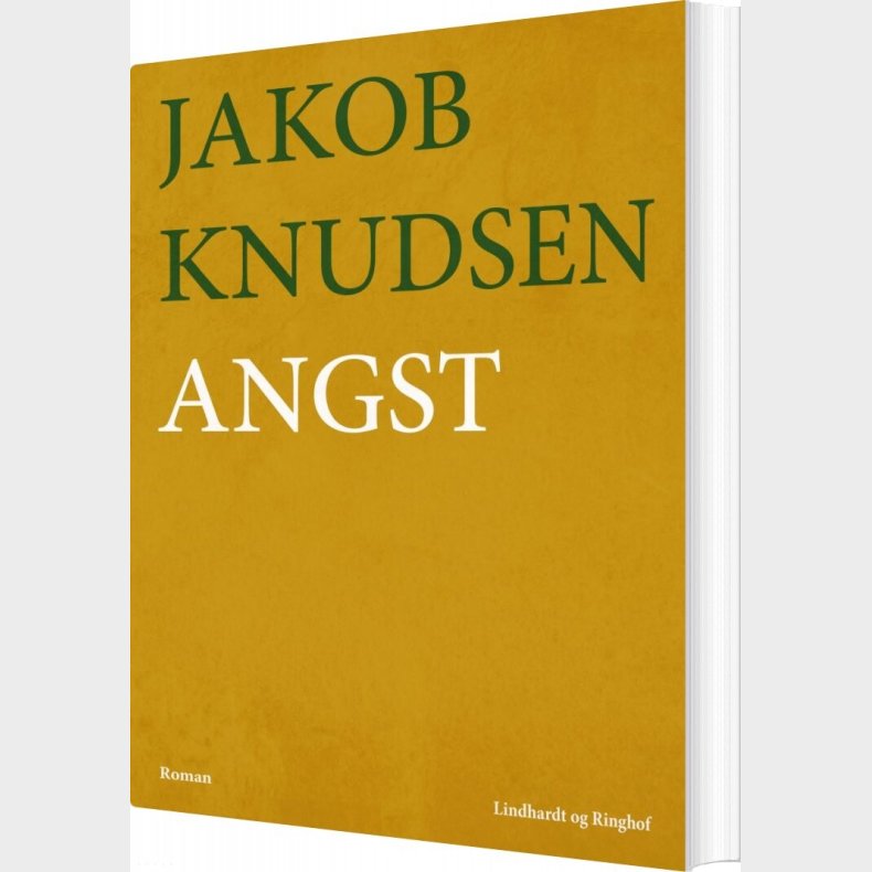 Angst - Jakob Knudsen - Bog