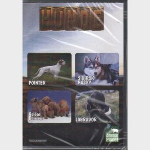 Animal Planet - Hunde - DVD - Tv-serie