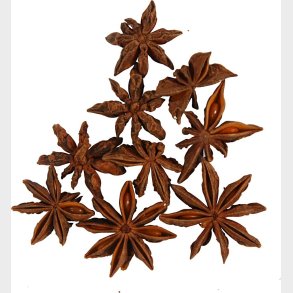 Anisstjerner - 10 Stk.