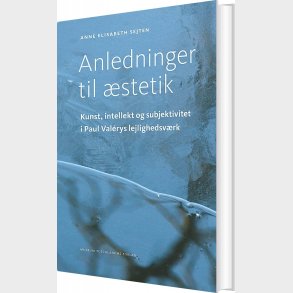 Anledninger Til stetik - Anne Elisabeth Sejten - Bog