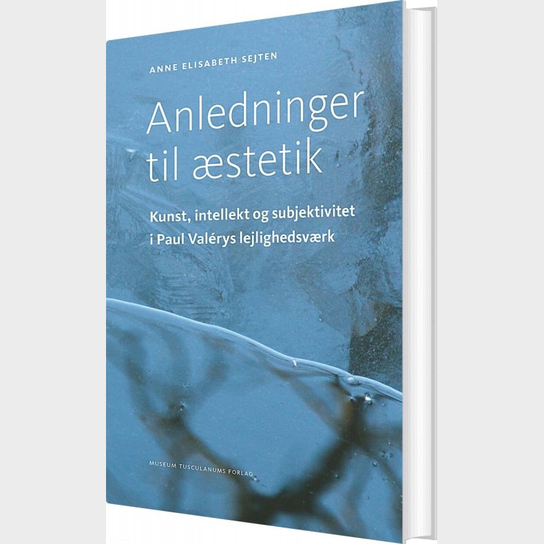 Anledninger Til stetik - Anne Elisabeth Sejten - Bog