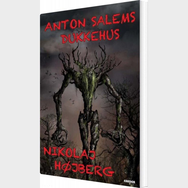 Anton Salems Dukkehus - Nikolaj H�jberg - Bog