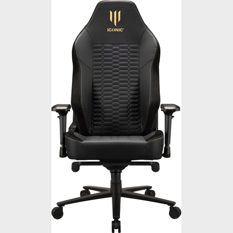 Apollon Classic / Gold Top Black Seat + Gold Logo