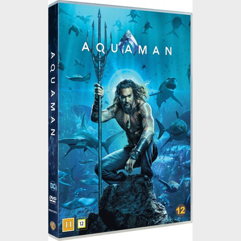 Aquaman 1 - Jason Momoa - DVD - Film