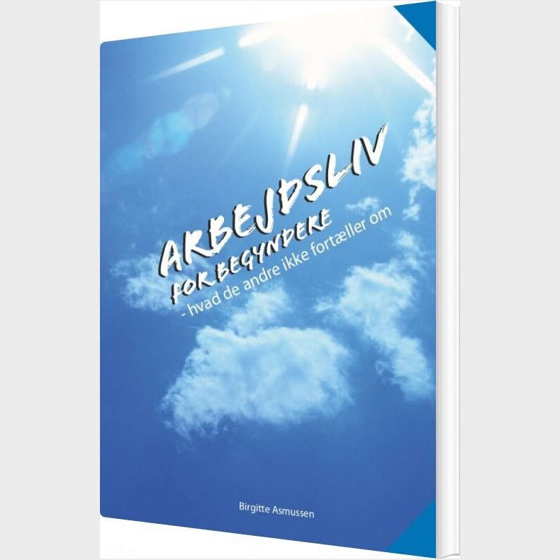 Arbejdsliv For Begyndere - Birgitte Asmussen - Bog