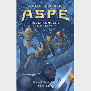 A.s.p.e. 13 - Mette Finderup - Bog