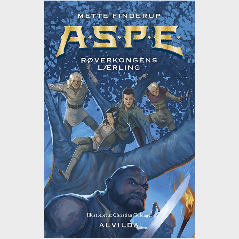 A.s.p.e. 13 - Mette Finderup - Bog