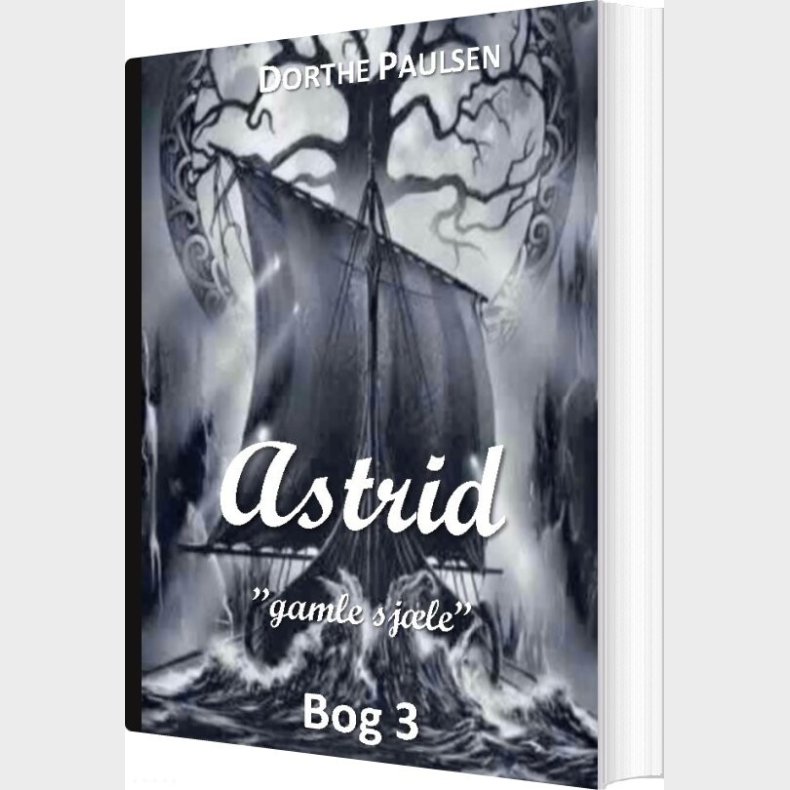 Astrid 3 - Dorthe Paulsen - Bog