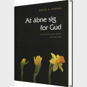 At �bne Sig For Gud - David G. Benner - Bog