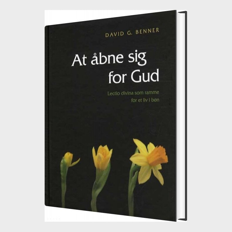 At �bne Sig For Gud - David G. Benner - Bog