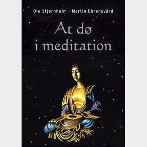 At D� I Meditation - Ole Stjernholm - Bog