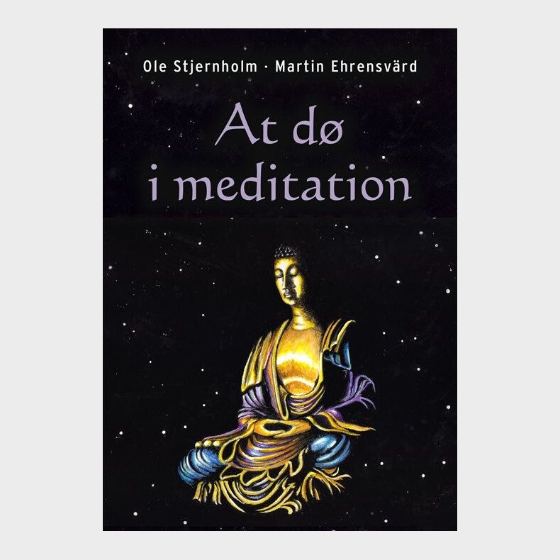 At D� I Meditation - Ole Stjernholm - Bog