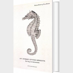 At Dykke Efter S�heste - Hilde �stby - Bog