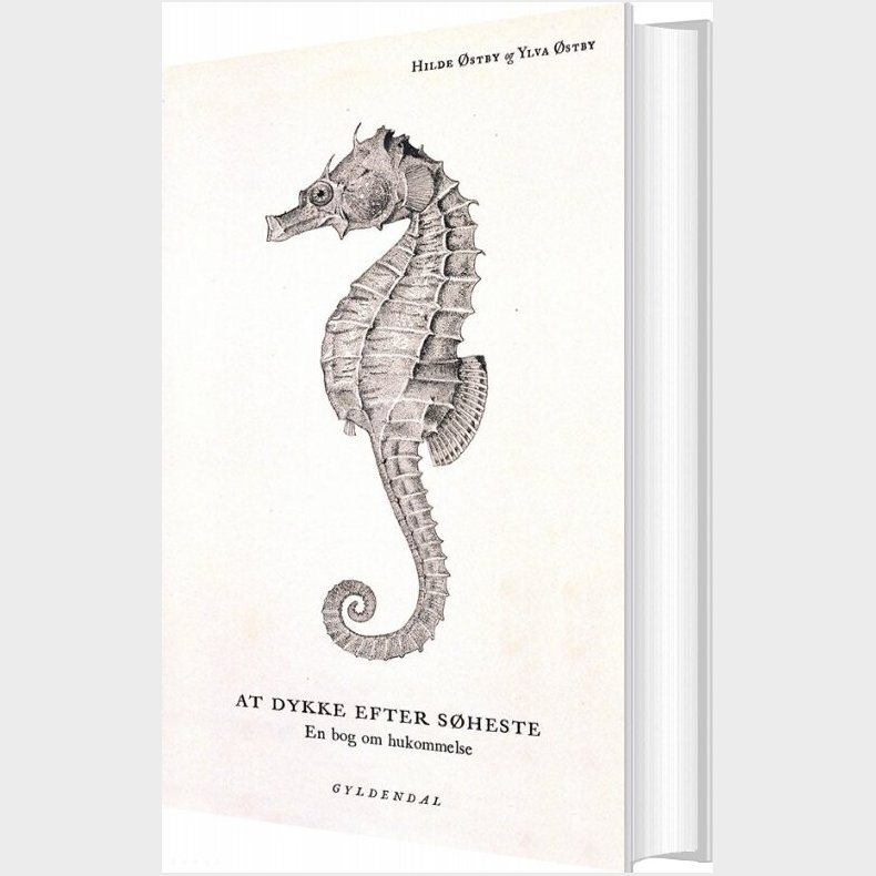 At Dykke Efter S�heste - Hilde �stby - Bog