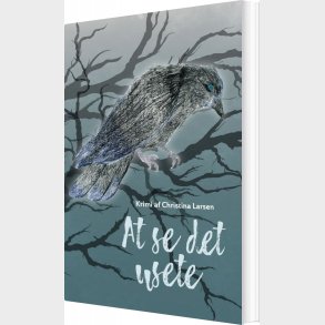 At Se Det Usete - Christina Larsen - Bog