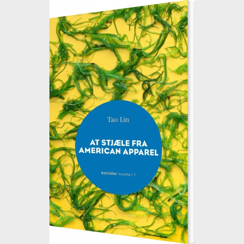 At Stj�le Fra American Apparel - Tao Lin - Bog