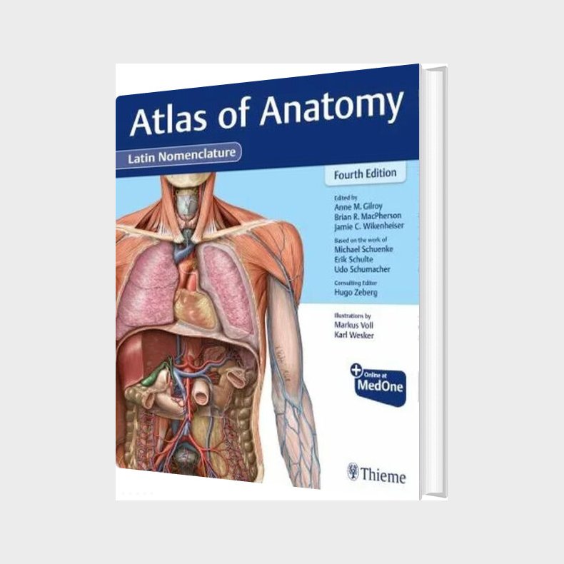 Atlas Of Anatomy: Latin Nomenclature - Anne M. Gilroy - English Book
