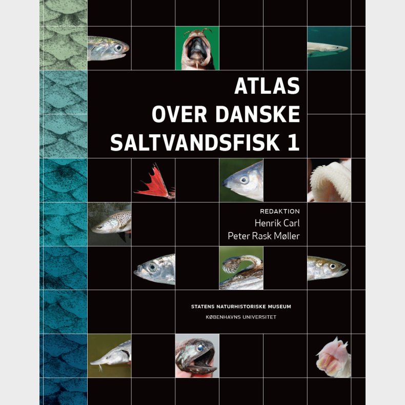 Atlas Over Danske Saltvandsfisk 1 - Henrik Carl - Bog